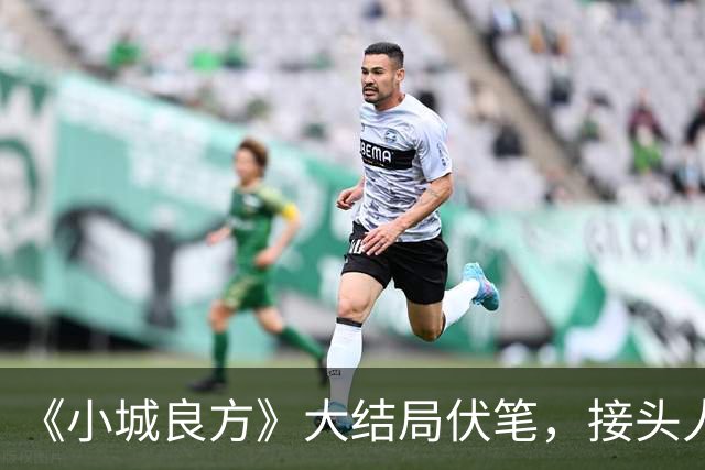 《小城良方》大结局伏笔，接头人真实存在，看到最后才明白
