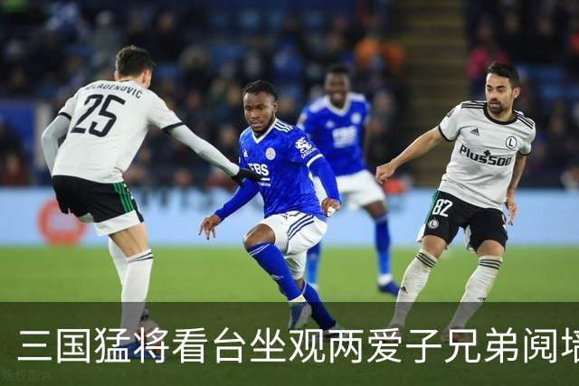 三国猛将看台坐观两爱子兄弟阋墙 弟弟更比哥哥强？