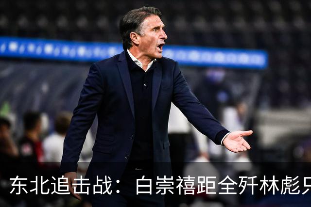 东北追击战：白崇禧距全歼林彪只差一道命令，历史差点被改写！