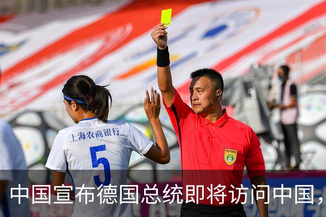 中国宣布德国总统即将访问中国，后脚日本就宣布德国总理访问日本