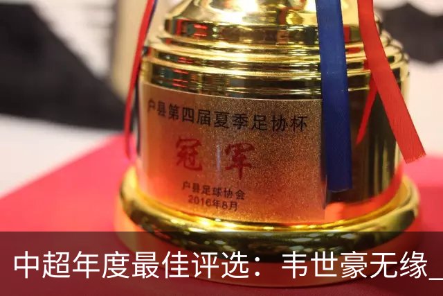 中超年度最佳评选：韦世豪无缘 30人入围金球奖5人争金帅