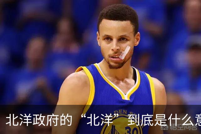 北洋政府的“北洋”到底是什么意思？不是北方洋人的意思