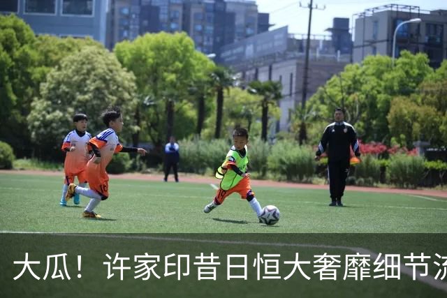 大瓜！许家印昔日恒大奢靡细节流出，丁玉梅海外包养30岁白人小伙