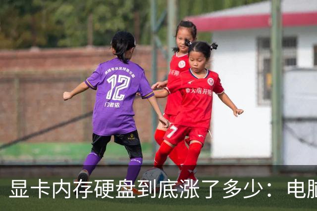显卡/内存/硬盘到底涨了多少：电脑硬件价格大调查 看完触目惊心