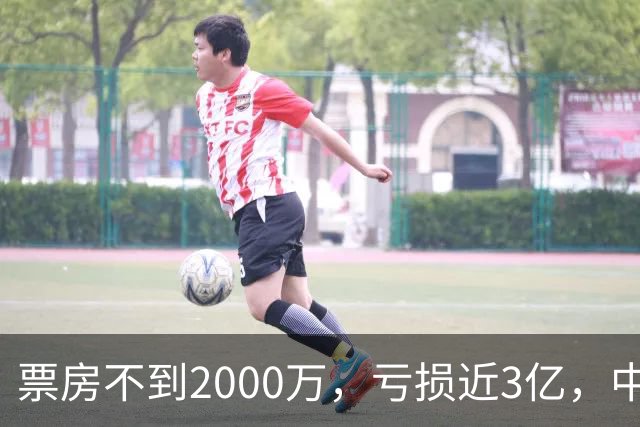 票房不到2000万，亏损近3亿，中国内地年度最惨电影诞生