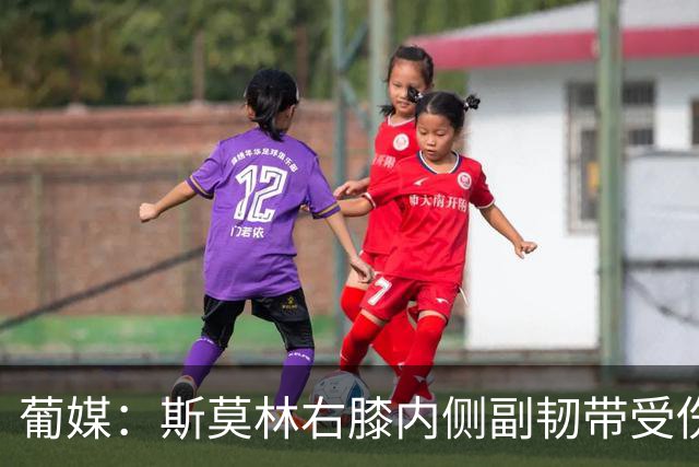 葡媒：斯莫林右膝内侧副韧带受伤，将缺席波尔图数场比赛