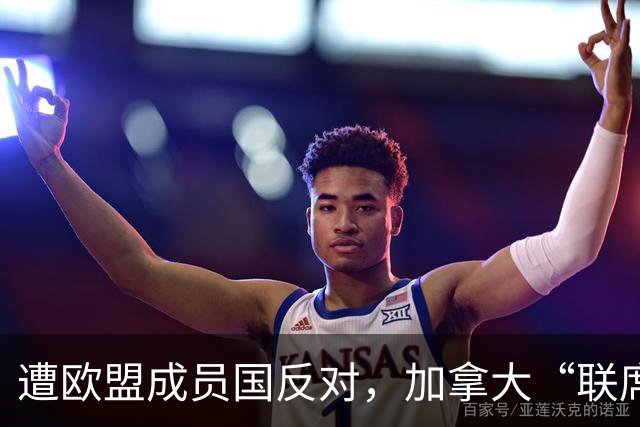 遭欧盟成员国反对，加拿大“联席成员”提议宣告失败，冯德莱恩被批想当“欧盟总统”