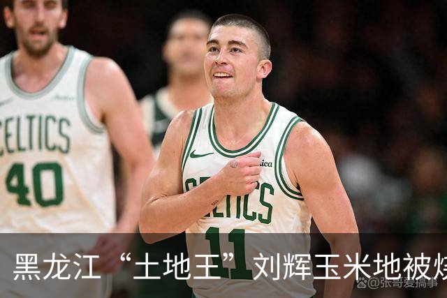 黑龙江“土地王”刘辉玉米地被烧后续来了！下架所有有关视频，自述前因后果
