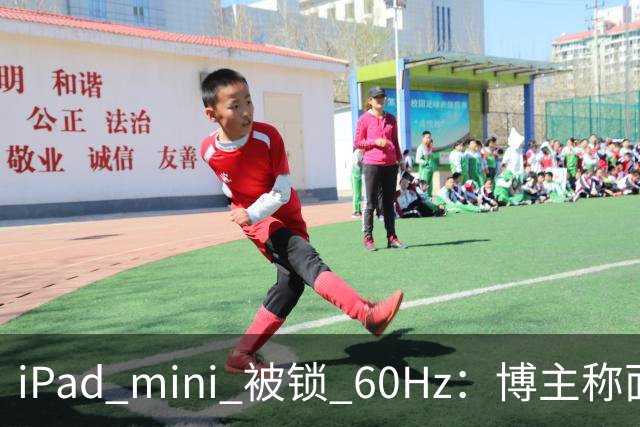 iPad mini 被锁 60Hz：博主称面板支持 120Hz，供应链却说没这回事